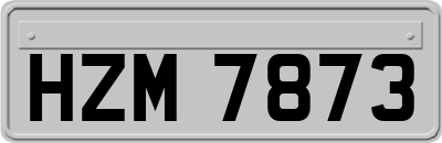 HZM7873