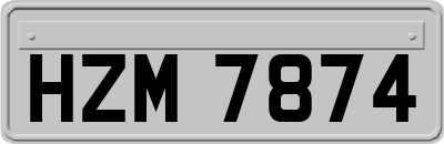 HZM7874