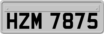 HZM7875