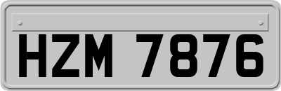 HZM7876