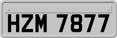 HZM7877