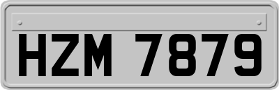 HZM7879