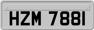 HZM7881