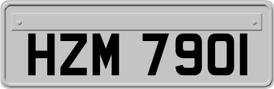 HZM7901
