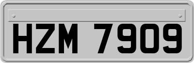 HZM7909