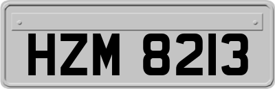 HZM8213