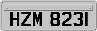 HZM8231