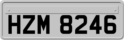 HZM8246