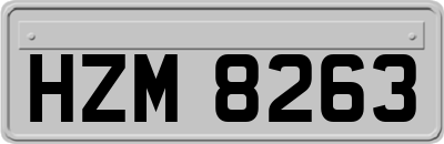 HZM8263