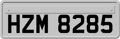 HZM8285