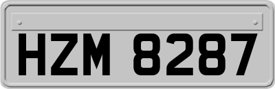 HZM8287