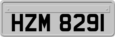 HZM8291