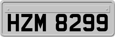 HZM8299