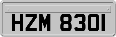 HZM8301