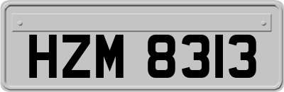 HZM8313