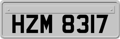 HZM8317