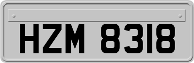 HZM8318