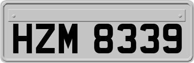 HZM8339
