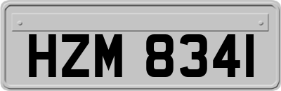 HZM8341