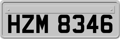 HZM8346