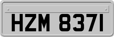 HZM8371