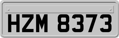 HZM8373