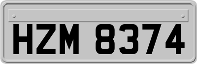 HZM8374
