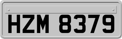 HZM8379
