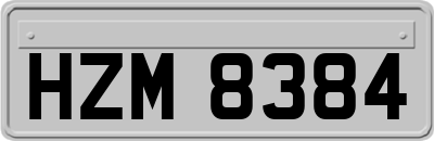 HZM8384