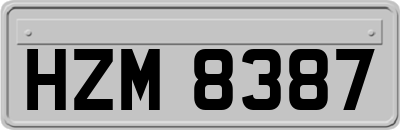 HZM8387