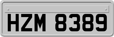 HZM8389