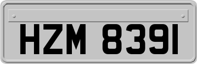 HZM8391