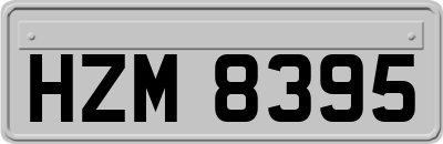 HZM8395