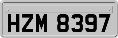 HZM8397