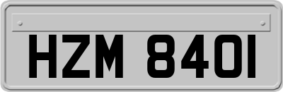 HZM8401