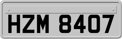 HZM8407