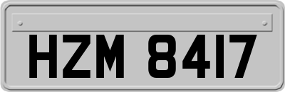 HZM8417