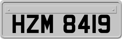 HZM8419