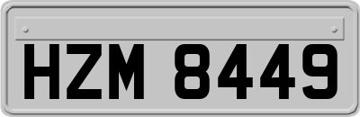 HZM8449
