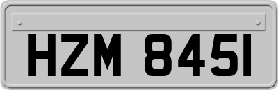 HZM8451