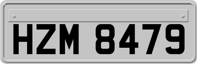 HZM8479