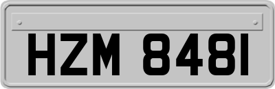 HZM8481