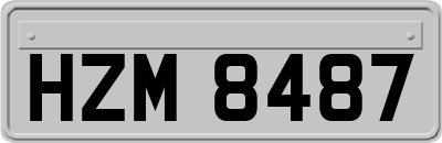 HZM8487
