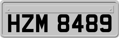 HZM8489