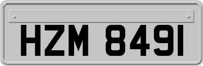 HZM8491