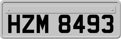 HZM8493