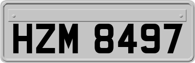 HZM8497