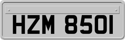 HZM8501