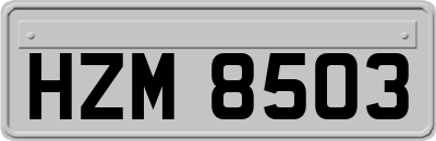 HZM8503