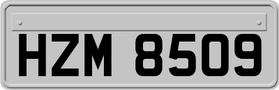 HZM8509
